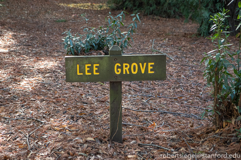 foothills park